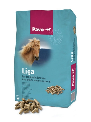 liga.jpg