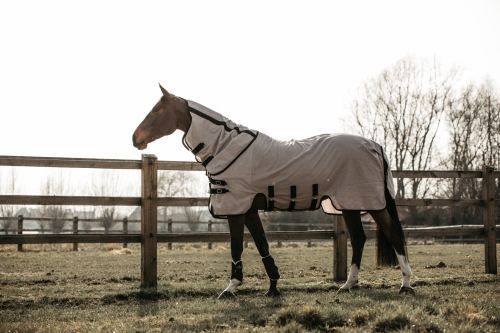 kentucky derka przeciw owadom