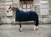 Kentucky Heavy Fellece Square navy