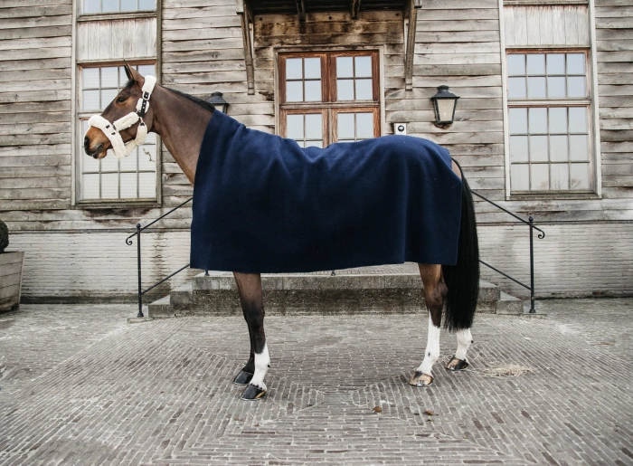 Kentucky Heavy Fellece Square navy