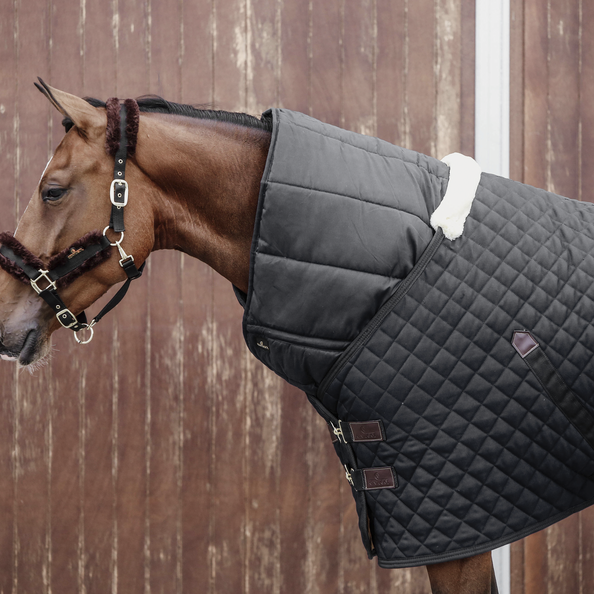 horse duvet kentucky black