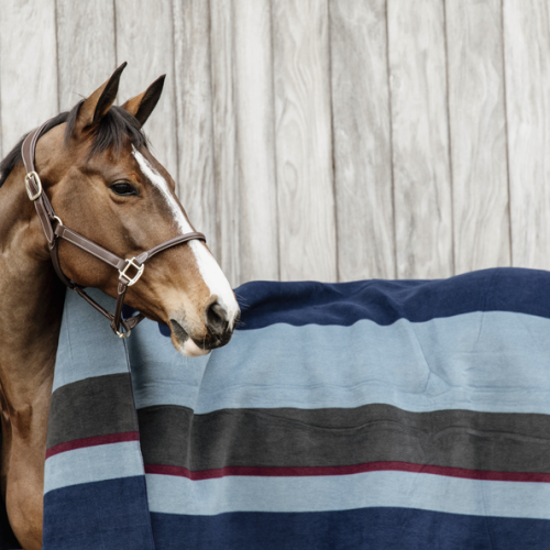 derka kentucky Heavy Fleece Rug Square Stripes navy