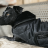 derka dla psa black kentucky
