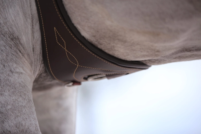 Popręg anatomiczny Kentucky brown