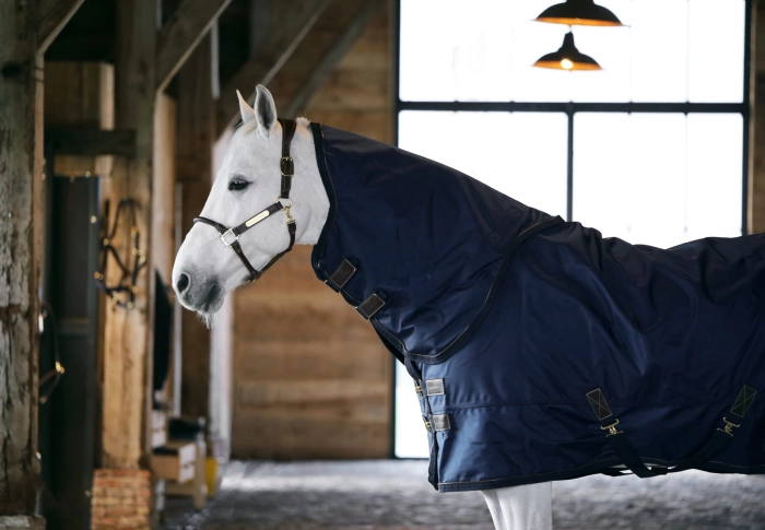 Kentucky derka padokowaa All Weather 0g navy