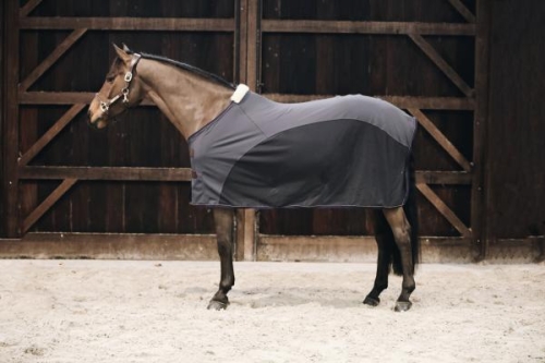 derka softshell szara