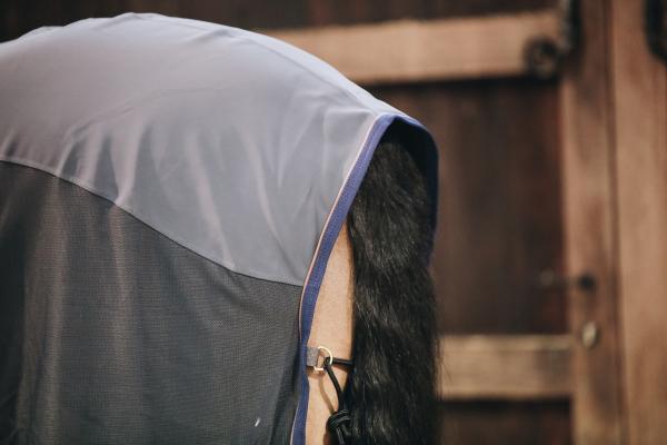 derka kentucky softshell grey
