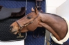 kentucky grooming halter brown