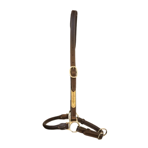 Kentucky kantar Grooming brown