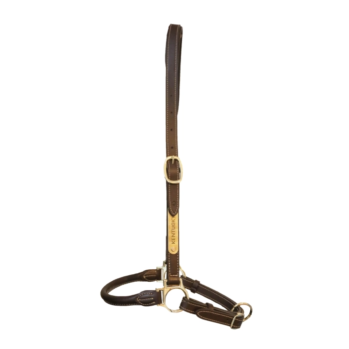 Kentucky kantar Grooming brown