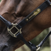 anatomiczny kantar Kentucky skórzany COB black