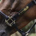 anatomiczny kantar Kentucky skórzany COB black