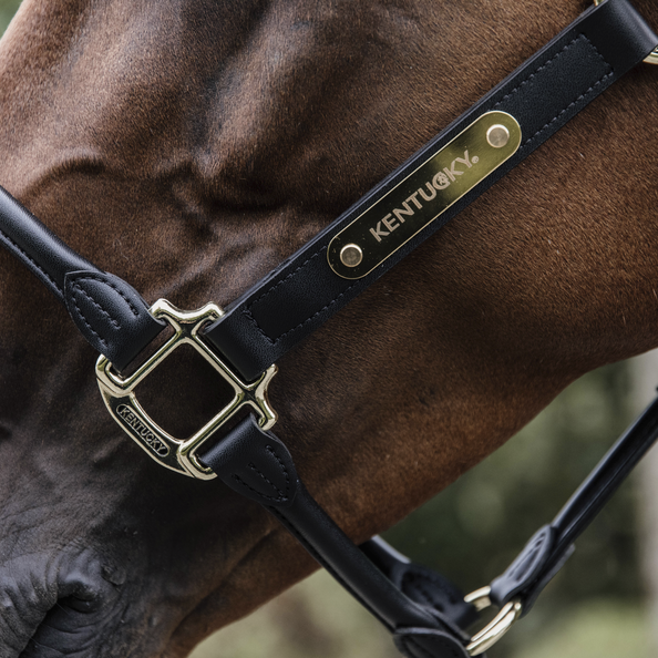 anatomiczny kantar Kentucky skórzany COB black