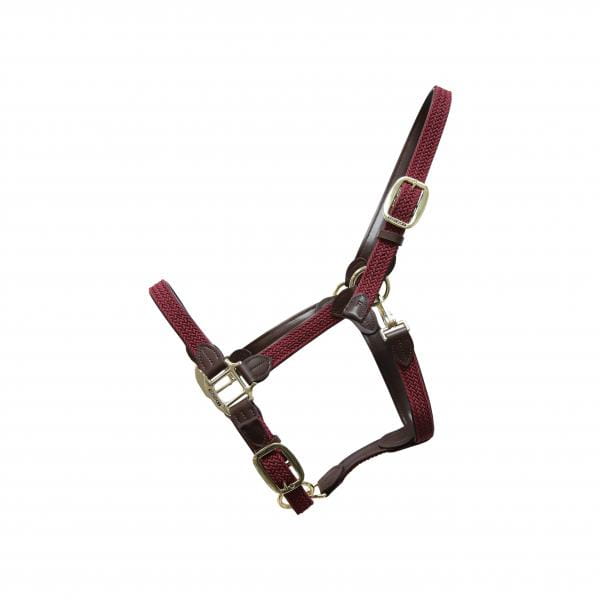 Kentucky Nylon Halter_bordo