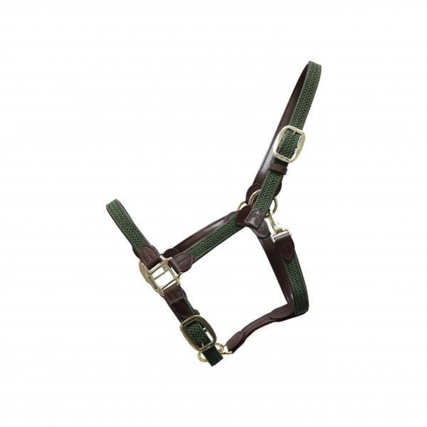 Kentucky Nylon Halter_zieleń