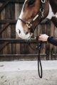 Kentucky brązowy uwiąz Loop