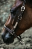 Kentucky kantar Flexible5.jpg