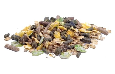 Pavo Cerevit