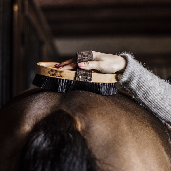 grooming deluxe szczotka do sierści