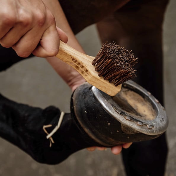 szczotka do kopyt kopystka grooming deluxe