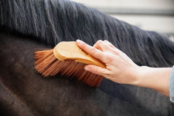 grooming deluxe szczotka do sierści middle brush medium