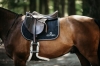 Kentucky czaprak Fishbone Leather skokowy czarny