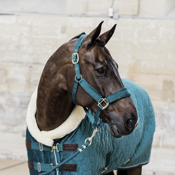 Kentucky kantar Velvet emerald