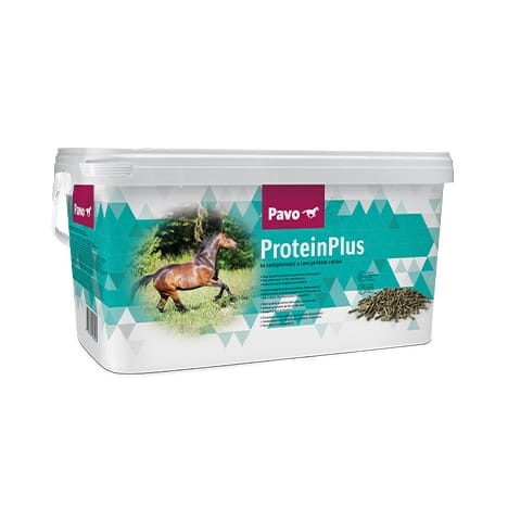 Pavo ProteinPlus.jpg