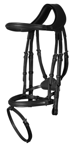 Dy'on ogłowie Difference New English NEGXAUBL