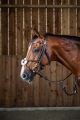 Dy'on ogłowie Figure 8 Noseband Working WOAQHCBR