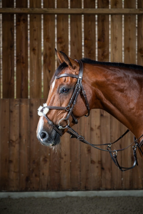 Dy'on ogłowie Figure 8 Noseband Working WOAQHCBR