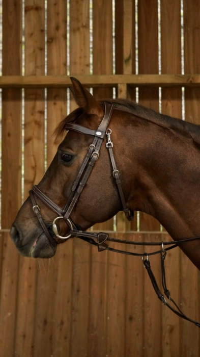 Dy'on ogłowie Flash Noseband Bridle Working WOJBHABR