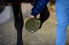 Kentucky opatrunek na kopyto