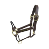 Kantar Rope3.png