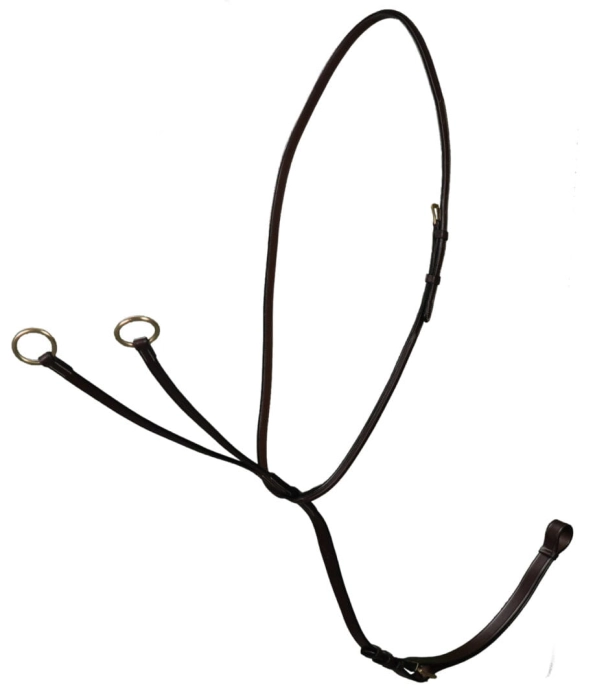 DY07G.jpg