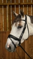 Dy'on ogłowie Matte Large Crank Noseband With Flash by Working WODCAM