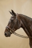 WODCAM Dy'on ogłowie Matte Large Crank Noseband With Flash by Working