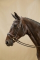 WODCAM Dy'on ogłowie Matte Large Crank Noseband With Flash by Working