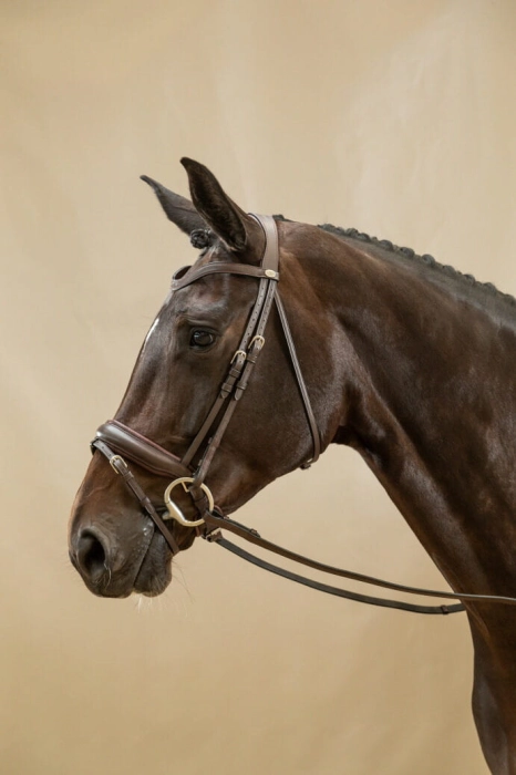 WODCAM Dy'on ogłowie Matte Large Crank Noseband With Flash by Working