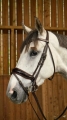 Dy'on ogłowie Patent Large Crank Noseband With Flash by Working WODCAN