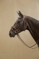 WODCAN Dy'on ogłowie Patent Large Crank Noseband With Flash by Working