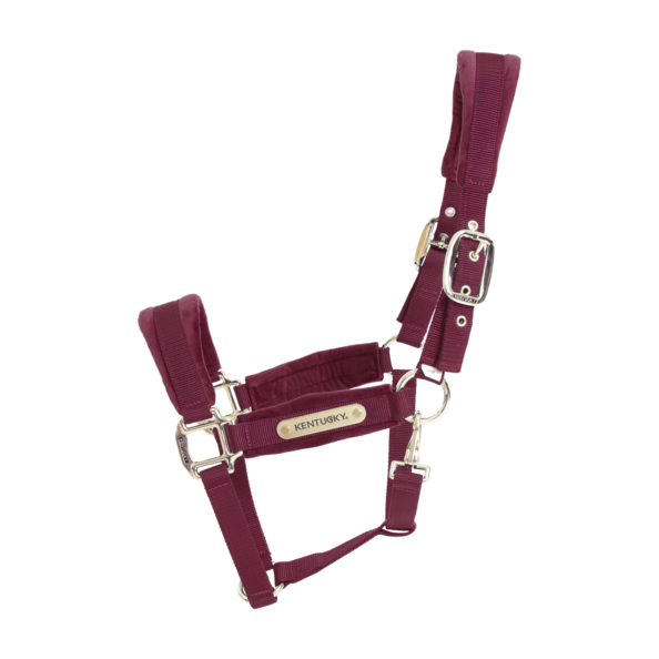 Kentucky kantar Velvet bordo