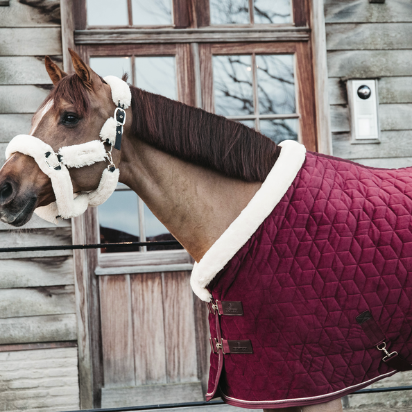 derka kentucky bordo Show Rug Velvet 160g