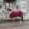 Show Rug Velvet 160g derka kentucky