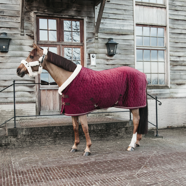 Show Rug Velvet 160g derka kentucky