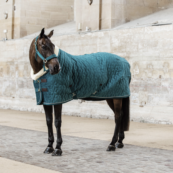 derka kentucky Show Rug Velvet 160g szmaragd