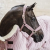 derka kentucky show rug velvet róż