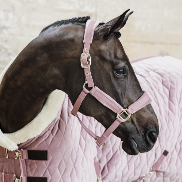 derka kentucky show rug velvet róż