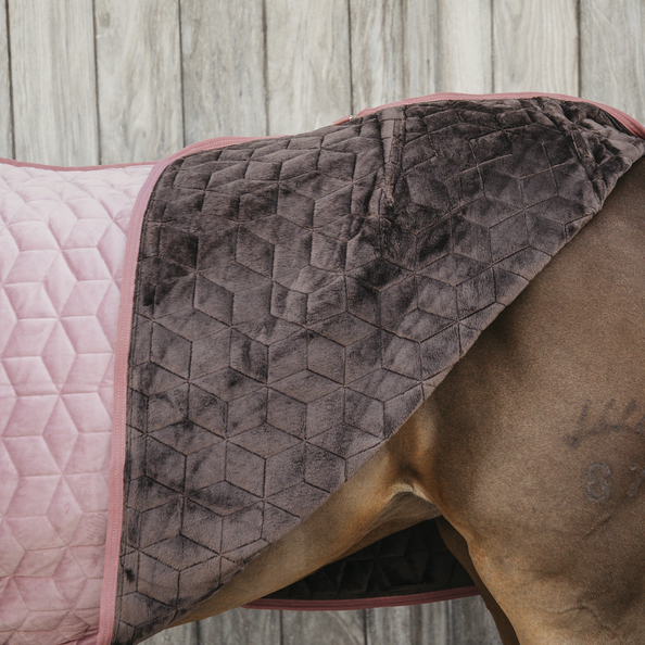 kentucky derka show rug velvet 160g