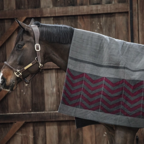 kentucky derka polarowa koc grey bordeaux